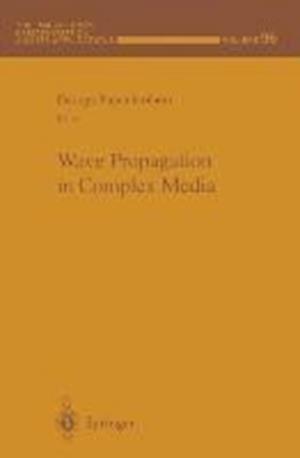 Wave Propagation in Complex Media