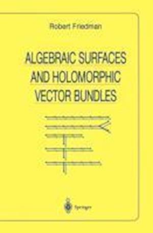 Algebraic Surfaces and Holomorphic Vector Bundles