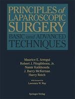 Principles of Laparoscopic Surgery