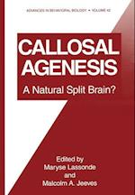 Callosal Agenesis