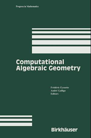 Computational Algebraic Geometry