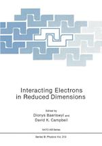Interacting Electrons in Reduced Dimensions