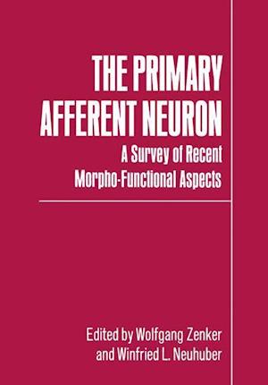 The Primary Afferent Neuron