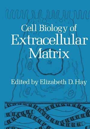 Cell Biology of Extracellular Matrix