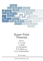 Super Field Theories
