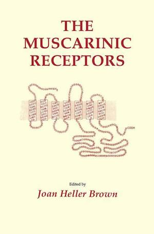 The Muscarinic Receptors