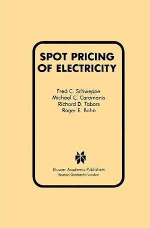 Spot Pricing of Electricity