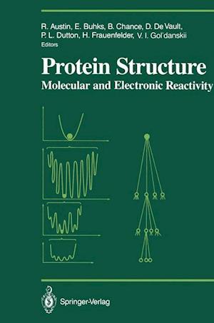 Protein Structure