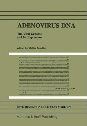 Adenovirus DNA