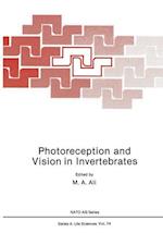 Photoreception and Vision in Invertebrates