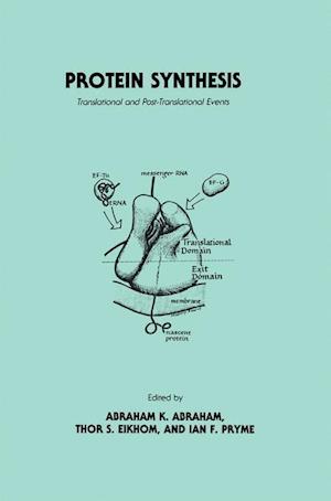 Protein Synthesis