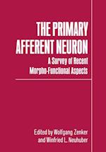 Primary Afferent Neuron