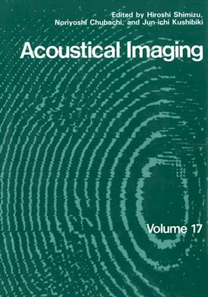 Acoustical Imaging