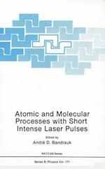 Atomic and Molecular Processes with Short Intense Laser Pulses 