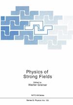 Physics of Strong Fields