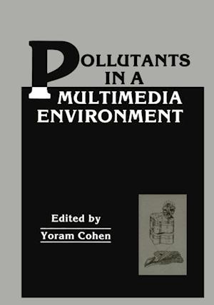 Pollutants in a Multimedia Environment
