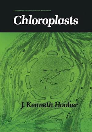 Chloroplasts