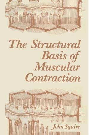 Structural Basis of Muscular Contraction