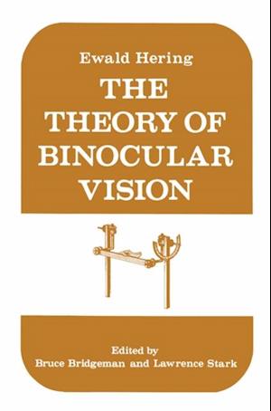 Theory of Binocular Vision