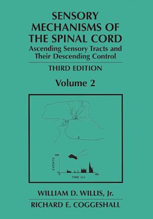 Sensory Mechanisms of the Spinal Cord