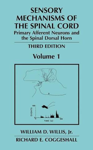 Sensory Mechanisms of the Spinal Cord