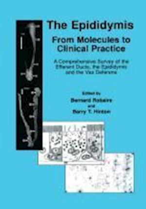 The Epididymis: From Molecules to Clinical Practice