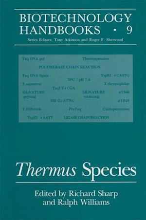 Thermus Species