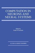 Computation in Neurons and Neural Systems