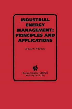 Industrial Energy Management: Principles and Applications