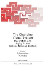 The Changing Visual System