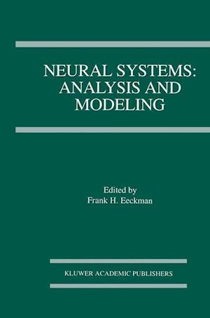 Neural Systems: Analysis and Modeling