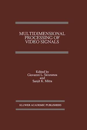 Multidimensional Processing of Video Signals