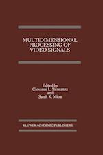 Multidimensional Processing of Video Signals