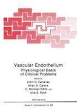 Vascular Endothelium