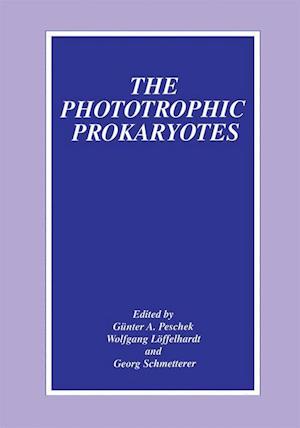 The Phototrophic Prokaryotes