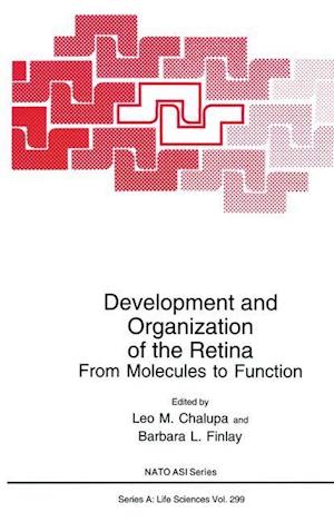 Development and Organization of the Retina