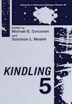 Kindling 5