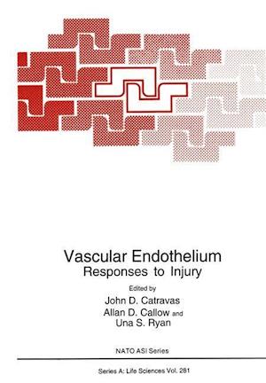 Vascular Endothelium