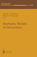 Stochastic Models in Geosystems