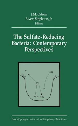 Sulfate-Reducing Bacteria: Contemporary Perspectives