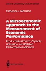 Microeconomic Approach to the Measurement of Economic Performance