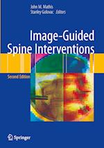 Image-Guided Spine Interventions