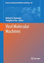 Viral Molecular Machines