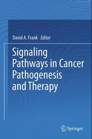 Signaling Pathways in Cancer Pathogenesis and Therapy