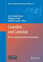 Caveolins and Caveolae