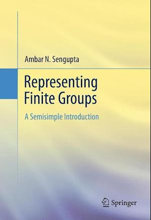 Representing Finite Groups