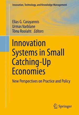 Innovation Systems in Small Catching-Up Economies