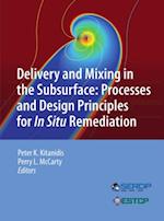 Delivery and Mixing in the Subsurface