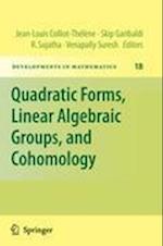 Quadratic Forms, Linear Algebraic Groups, and Cohomology