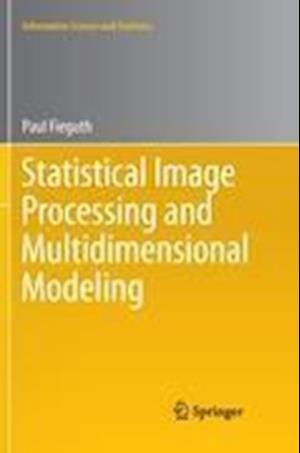 Statistical Image Processing and Multidimensional Modeling